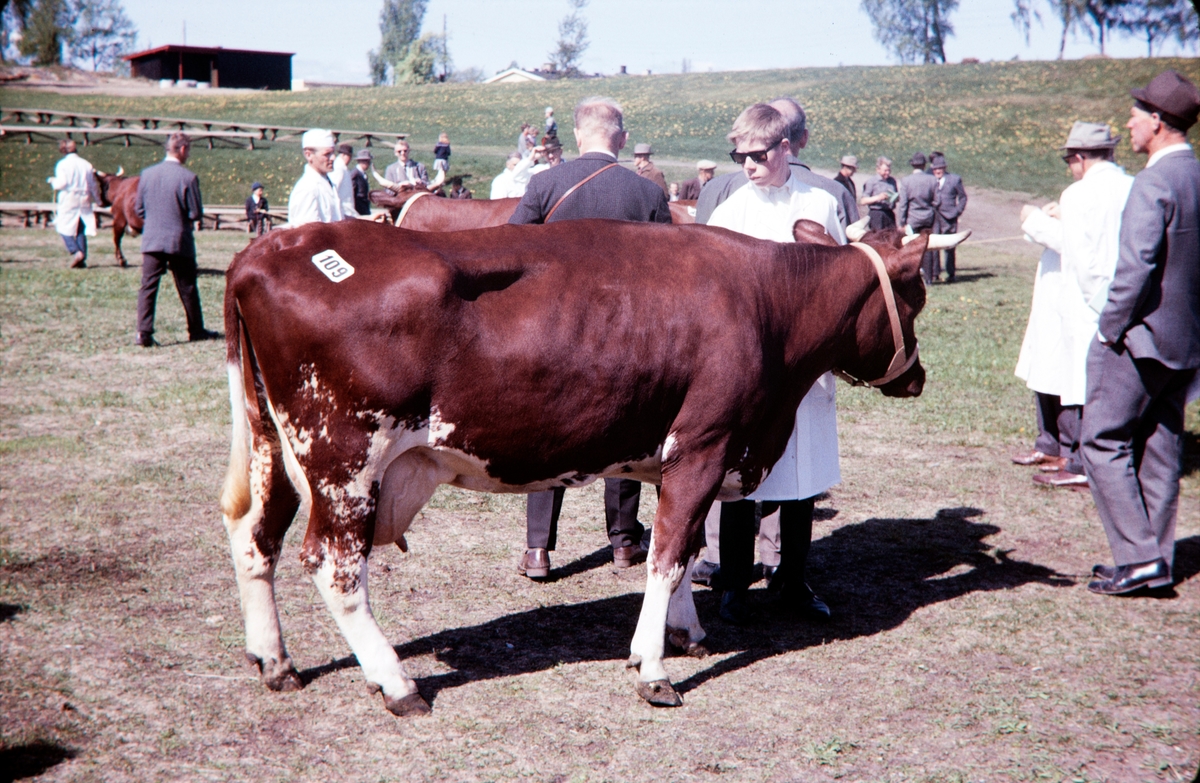 Jønsberg Landbruksskole. 