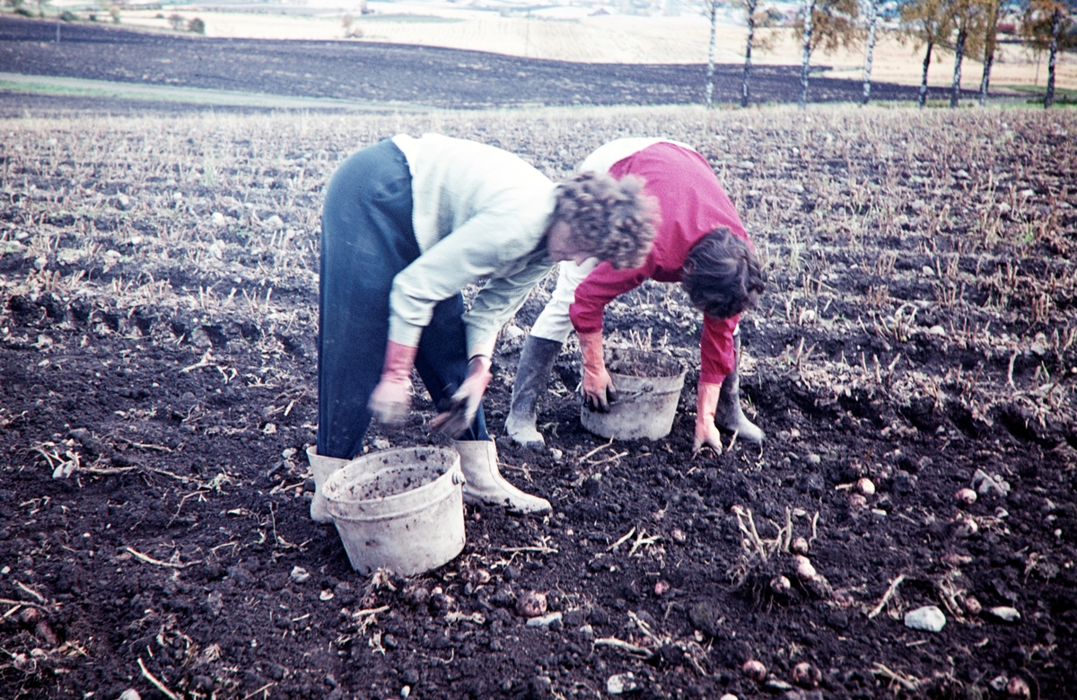Jønsberg Landbruksskole. 