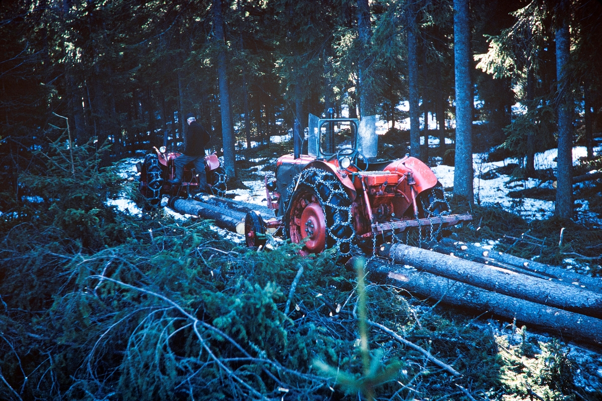 Jønsberg Landbruksskole. 