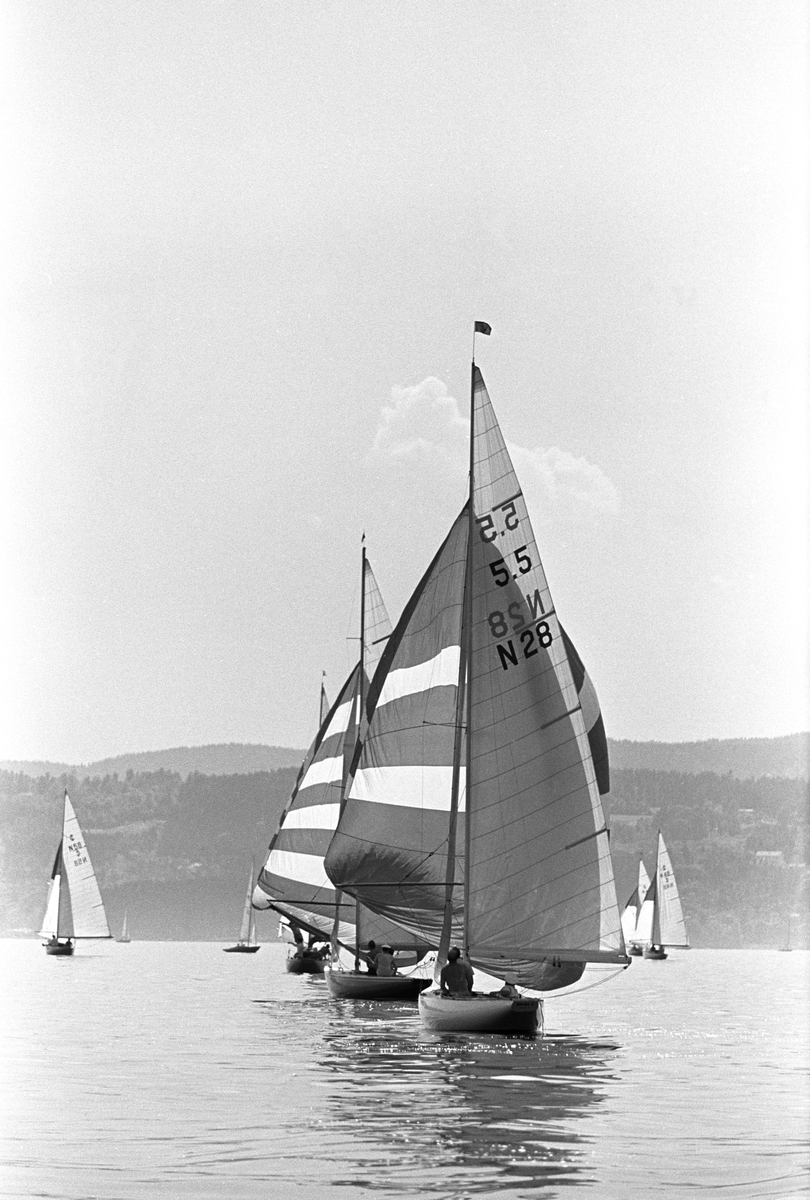 Kong Olav seiler med båten"Norna X". Regatta? Kong Olav sitter i båten.