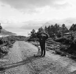 En bildeserie av ei kvinne med to barn på tur.