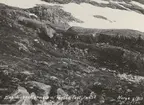Expeditionen till Langskarnesen, Norge, 1913.