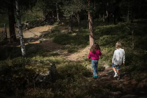 To barn som går tur i skogen