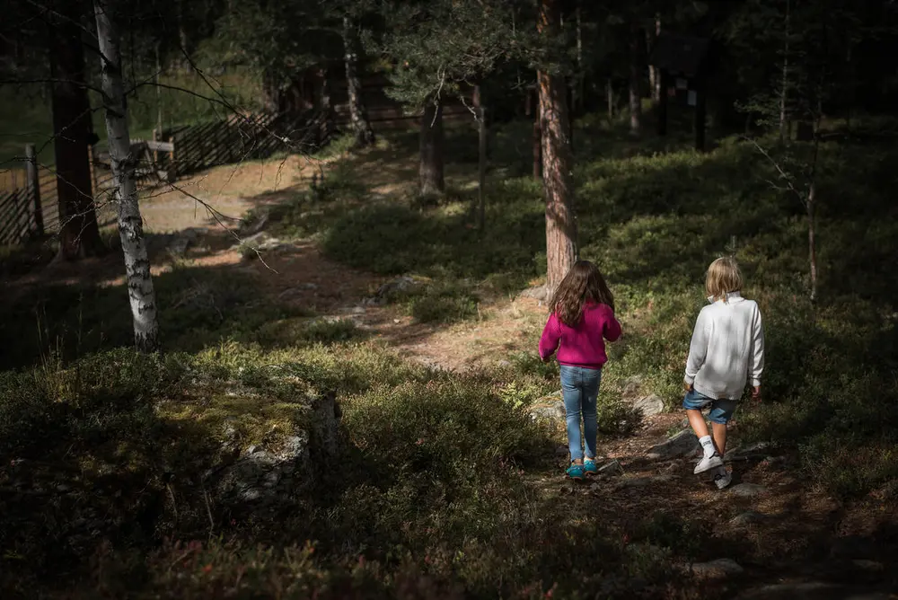 To barn som går tur i skogen