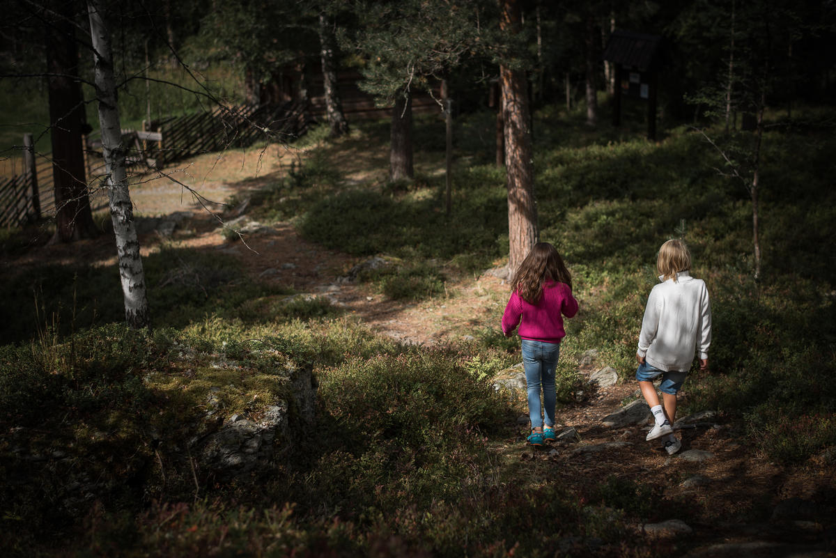 To barn som går tur i skogen