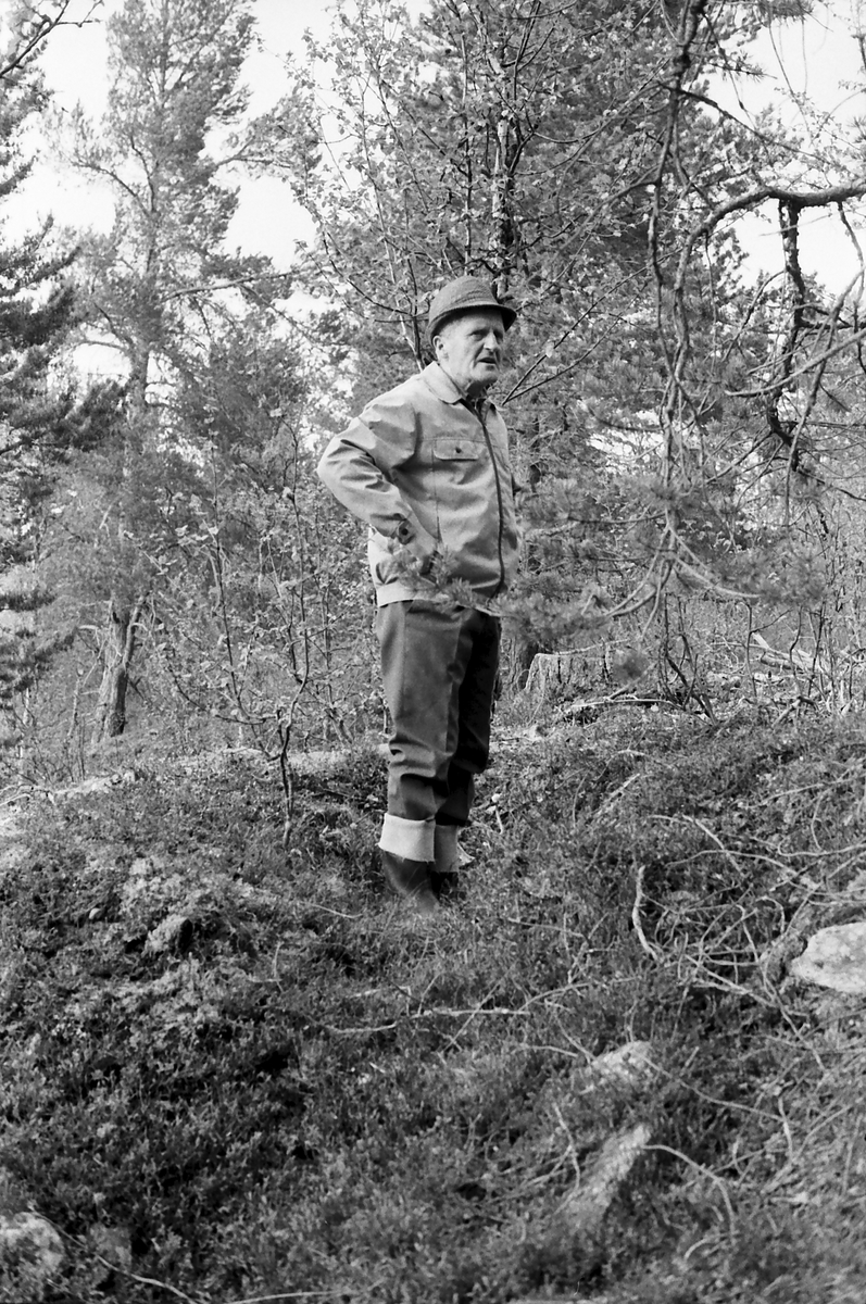 Harald Sundberg, 2544 Øversjødalen, Tolga. 