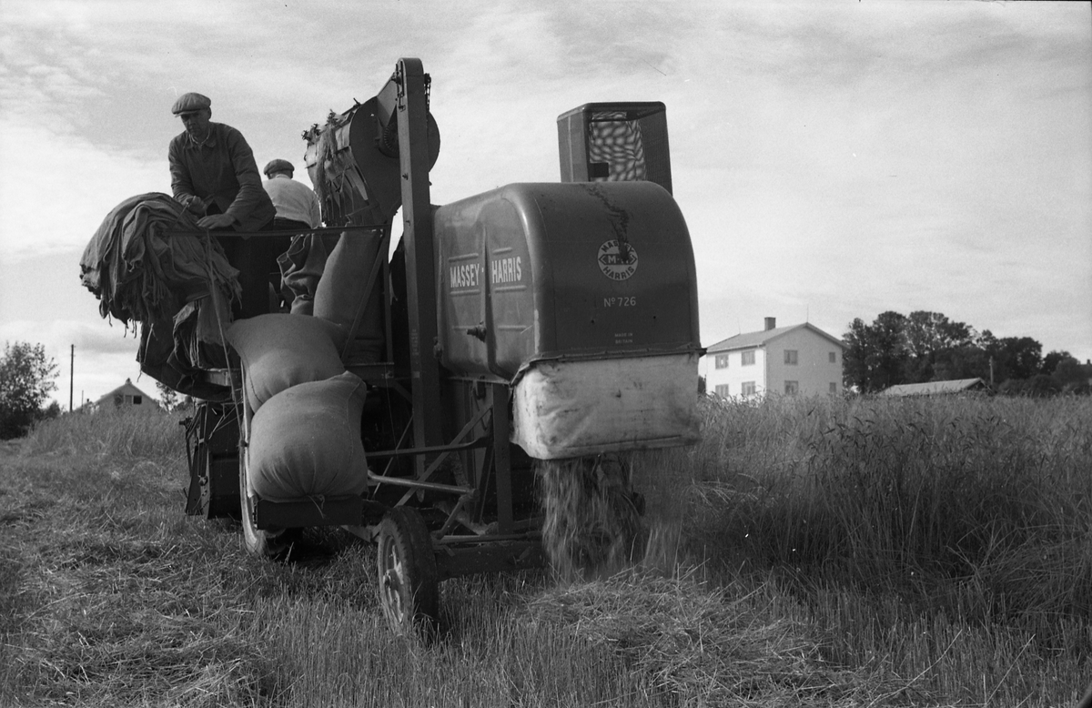 Kåre Fodstad kjører skurtresker i Rossvang på Kraby, september 1953. De andre personene er ikke identifisert. Åtte bilder.