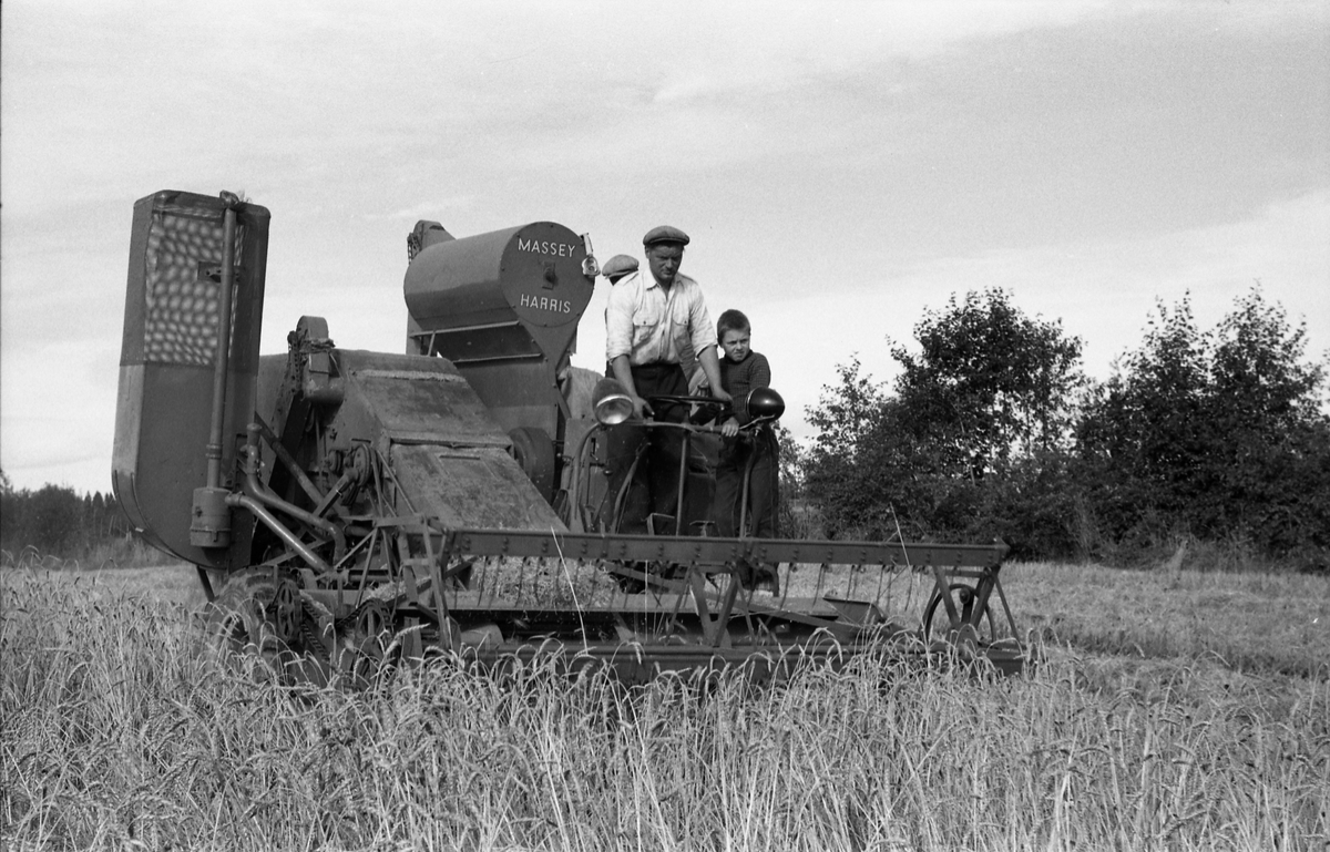 Kåre Fodstad kjører skurtresker i Rossvang på Kraby, september 1953. De andre personene er ikke identifisert. Åtte bilder.