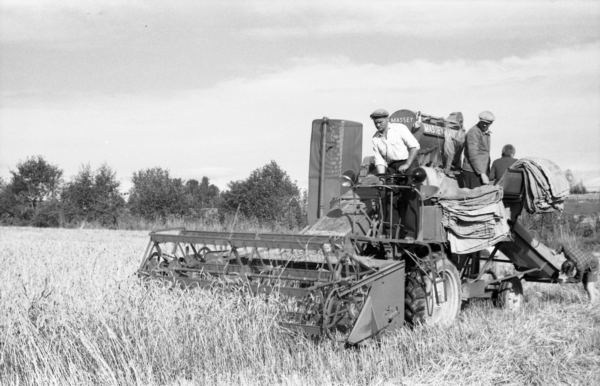 Kåre Fodstad kjører skurtresker i Rossvang på Kraby, september 1953. De andre personene er ikke identifisert. Åtte bilder.