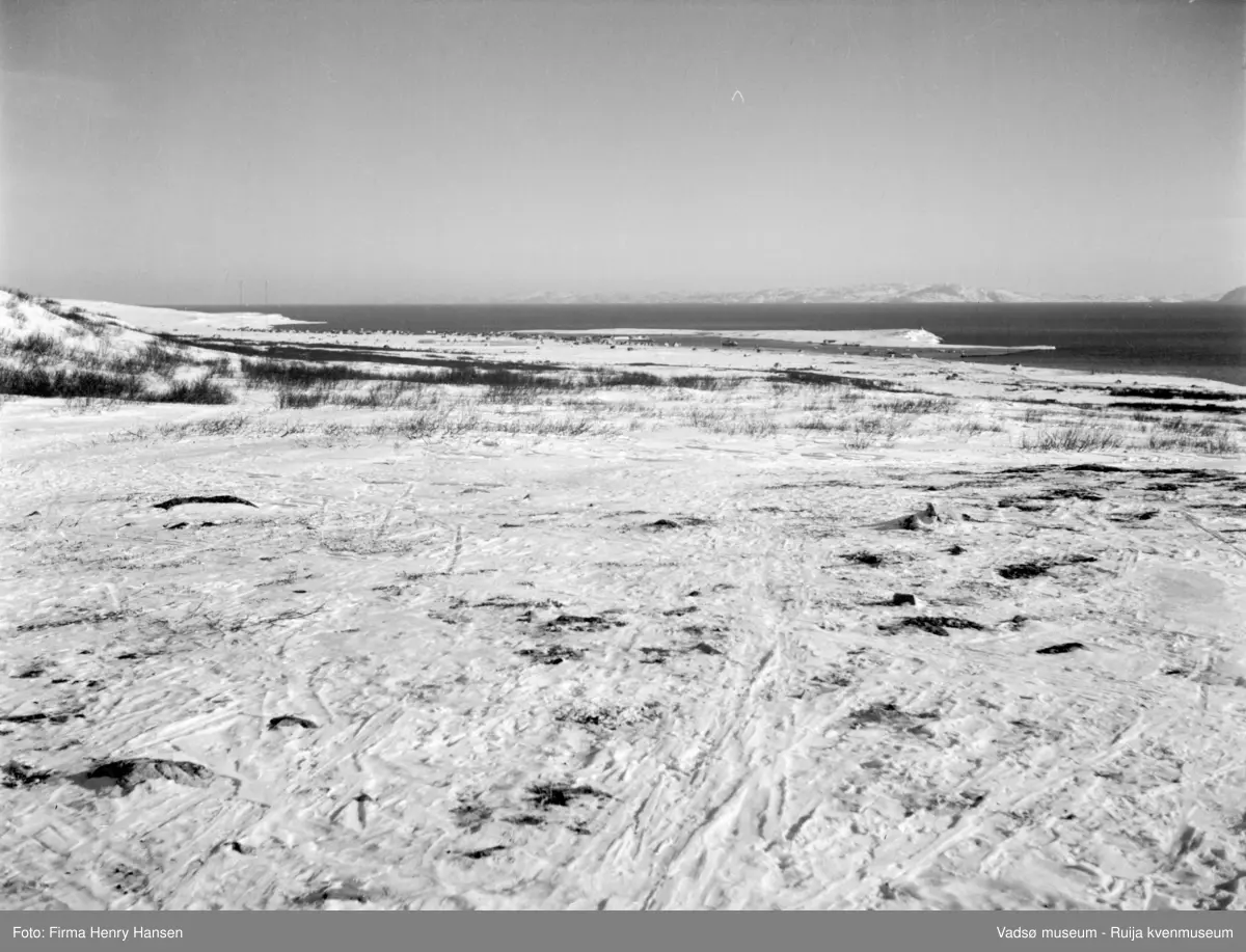 Vadsø mai 1951. Bildet er tatt fra Fossefjellet, mot byen med øya, Navarsodden og Varangerfjorden med Sør-Varanger.