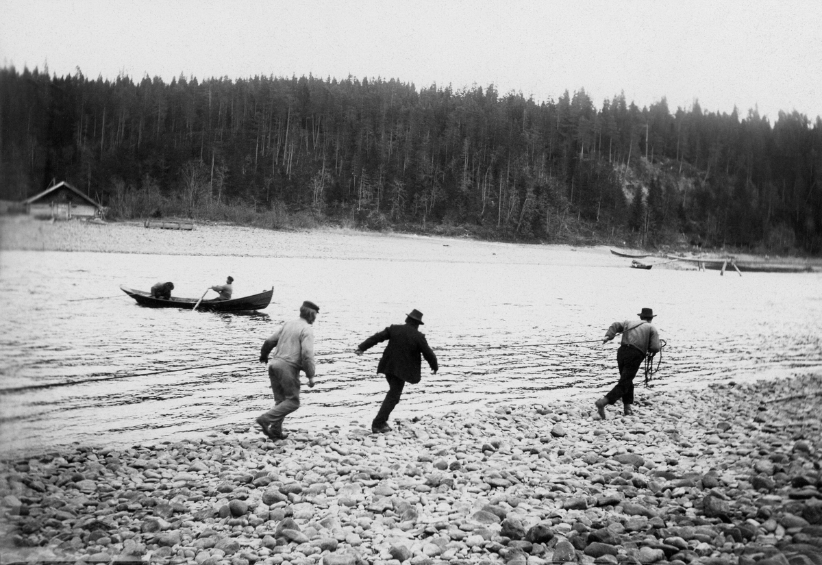 Notfiske etter lågåsild (Coregonus albula) ved Knuvelen i den nedre delen av Gudbrandsdalslågen, altså i Fåberg i Oppland.  Dette opptaket skal være fra 1904.  Det viser tre menn som løp langs elvebredden med et nottau en hendene.  Ute på vannet ser vi to karer i ei «åfløy», den flatbotnete robåttypen som ble brukt i dette området.  Notfisket på denne lokaliteten var tilpasset det faktum at strømmen i elveløpet her var forholdsvis strid.  For å bremse hastigheten på vannstrømmen satte fiskerne opp strømbrytere, et «utgjerdstre» i overkant av «varpet» (fiskeplassen) og et «nederst».  Disse konstruksjonene er ikke synlige på dette fotografiet.  Ferksvannsbiologen Hartvig Huitfeldt-Kaas' beskrivelse av notfisket ved Knuvelen er gjengitt (fra boka «Mjøsens fisker og fiskerier» [1917]) er gjengitt under fanen «Opplysninger».  Den samme Huitfeldt-Kaas skal ha tatt dette bildet i 1904.