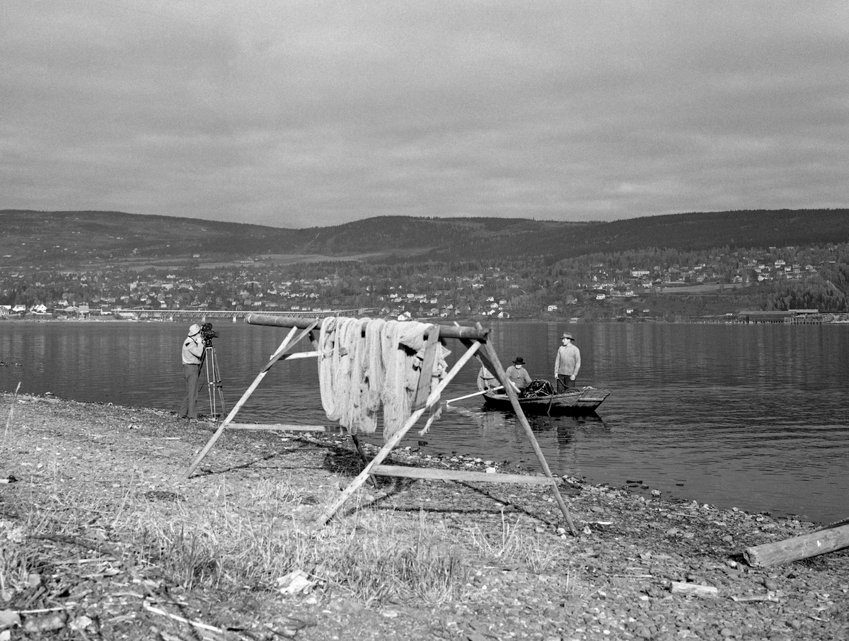 Fra opptakene til Norsk Skogbruksmuseums dokumentarfilm «Lågåsildfisket» i 1963.  Dette motivet er fra Borudodden på Vingromlandet (vestsida av Mjøsas nordende).  På stranda i forgrunnen ser vi en bukk, et stativ med A-formete bein og en rundstokk på toppen, der det hang en del nøter.  Bakenfor skimter vi ei «åføy» - en flatbotnet robåt som er kuvet i lengderetningen og har et utfallende akterspeil («plitten»).  I båten var det to menn, en som rodde, og en som var klar til å kaste nota i ei bue ut fra land.  Inne ved strandkanten ser vi en filmfotograf med stativkamera, som var vendt mot karene i båten.  Over ham skimter vi Vingnesbrua med Lillehammer by i lia bakenfor.

I 1917 publiserte ferskvannsbiologen Hartvig Huitfeldt-Kaas’ boka «Mjøsens fisker og fiskerier» følgende tekst om lågåsildfisket på dette stedet (side 45):

«Derefter kommer Borud, hvis fiske som regel er av langt mindre betydning end Røines.  Enkelte aar fiskes dog ogsaa paa denne eiendom meget bra; saaledes i 1888 ca. 200 kvartiler.  De derværende varp heter søre (Borud-)varpet og nordre (Borud-)varpet.»

Huitfeldt-Kaas’ mer generelle beskrivelse av notfisket etter lågåsild i den nordre delen av Mjøsa er gjengitt under fanen «opplysninger».