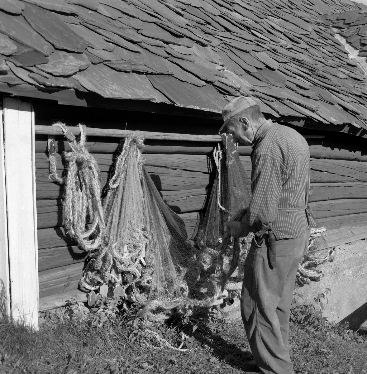 Erik Eriksen Dahl (1894-1979) på garden Nedre Dal i Fåberg etterser not og drivgarn før lågåsildfisket i Gudbrandsdalslågen skulle starte i september 1963.  Garden Nedre Dal hadde hevdvunne rettigheter knyttet til flere gode «varp» i elva, og Erik benyttet seg av disse rettighetene.  Her sto han, kledd i vadmelsbukser og bussrull, med tollekniv i beltet og skyggelue på hodet, og betraktet fiskeredskapen.  Den var opphengt på ei stang, inntil en soleksponert tømmervegg, beskyttet av et villskifertekket tak. Erik Dahl demonstrerte drivgarnfiske under opptakene til Norsk Skogbruksmuseums dokumentarfilm og lågåsildfisket i 1962-63.
