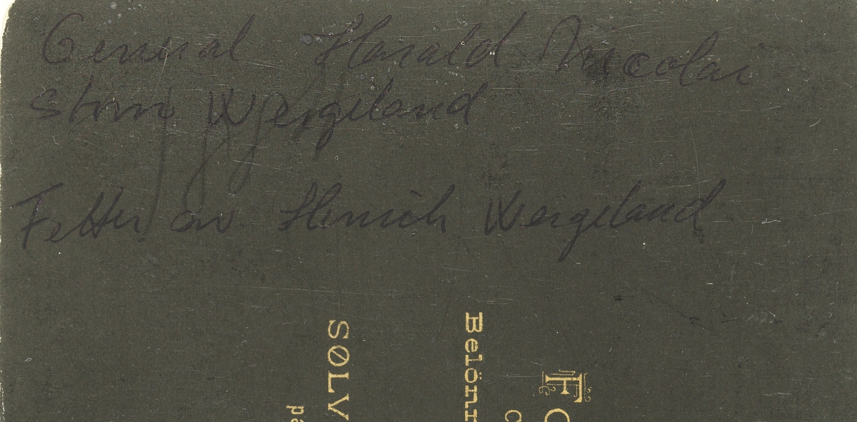 Portrett av general Harald Nicolai Storm Wergeland, fetter og adoptivbror til Henrik Wergeland. Storm Wergeland var høyt dekorert general og var blandt annet ridder av Dannebrogordenen. Han var svigerfar til Otto Adolph Gjerdrum.
