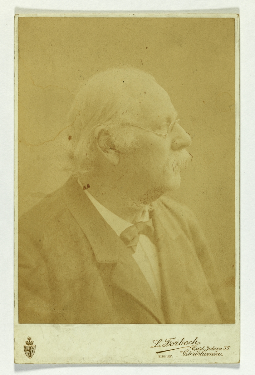 Bergslien, Knud (1827 - 1908)