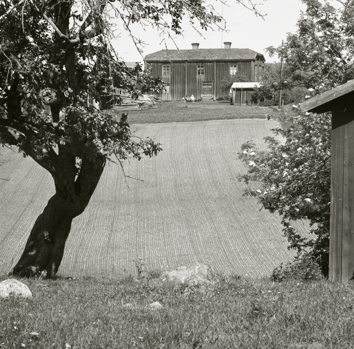 En gård skymtar fram bakom några träd och en lada, 1967-68.