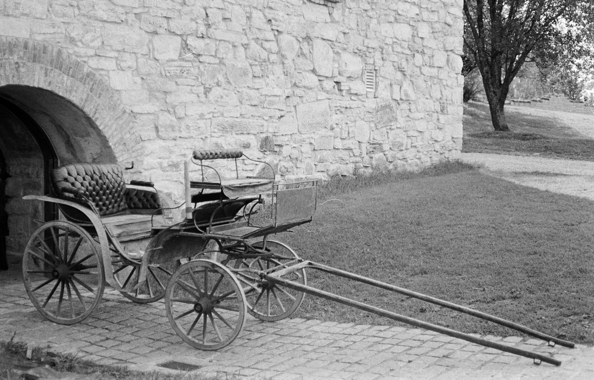 Trille fra Eriksrud, Ringsaker.