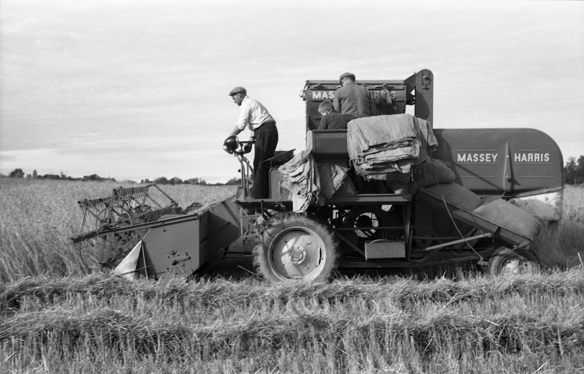 Kåre Fodstad kjører skurtresker i Rossvang på Kraby, september 1953. De andre personene er ikke identifisert. Åtte bilder.