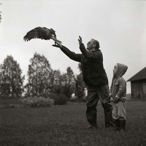 En man och en pojke står på ett fält. Mannen släpper iväg en bivråk, 1984.