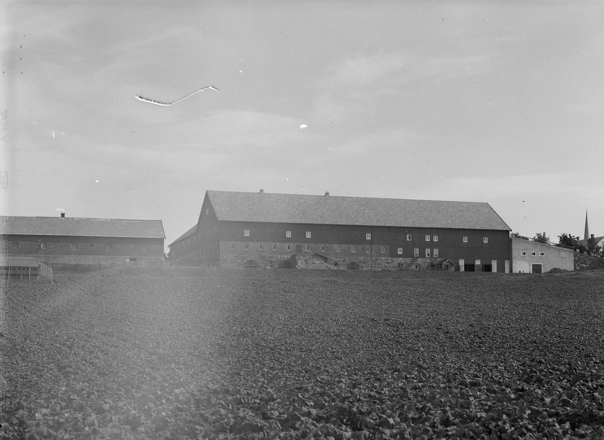 Mære landbruksskole