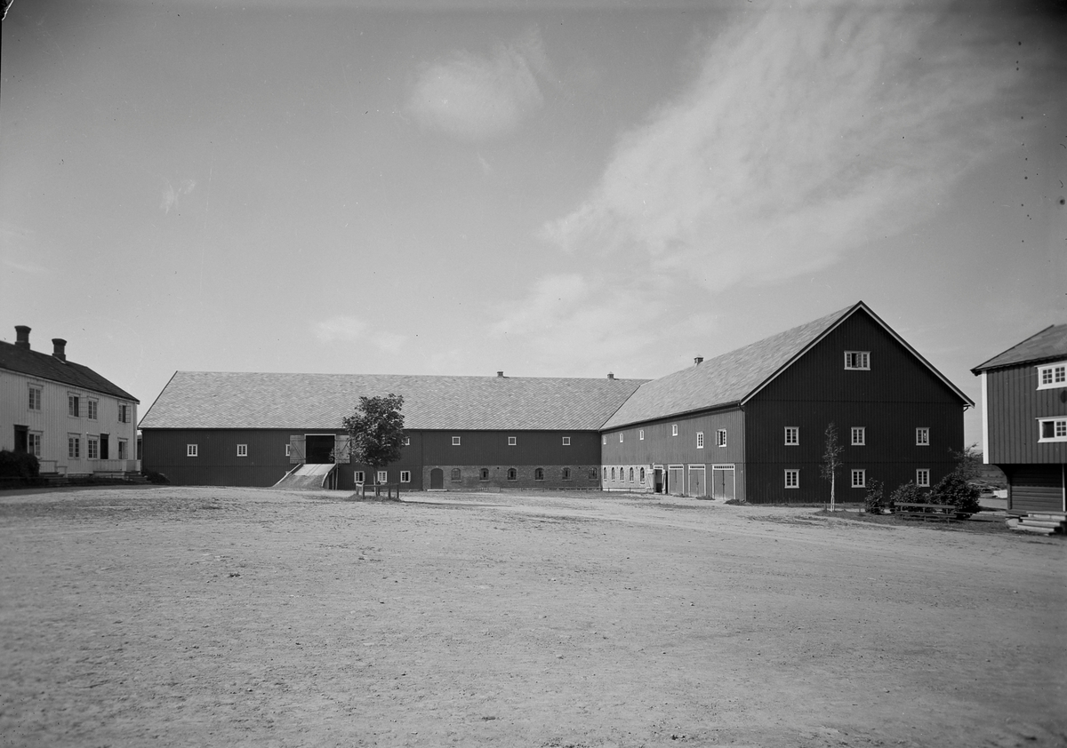 Mære landbruksskole