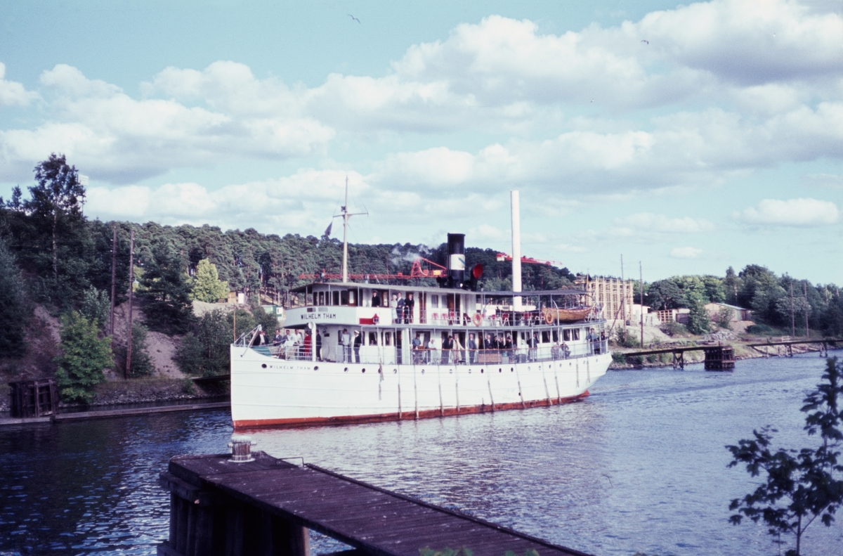 SS WILHELM THAM