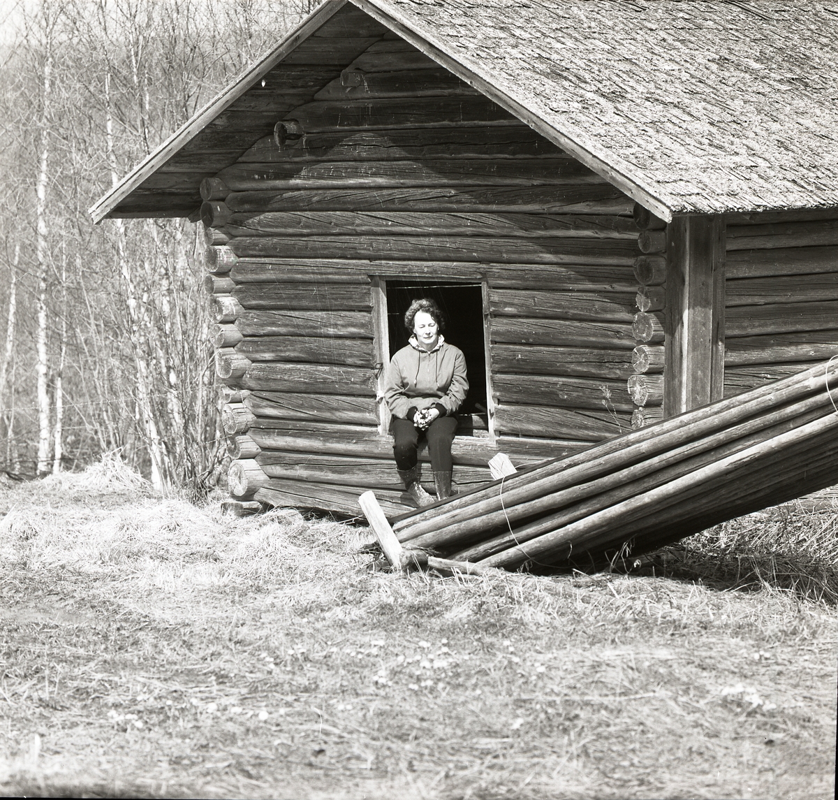 Adéle Mickelsson sitter i solen vid gamla åladan i Utegården, våren 1969.