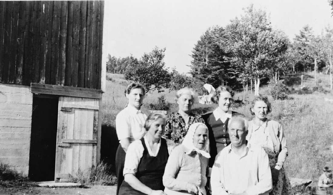 Leirfjord, Tømmervika. En sommerdag hos Jørgen Eriksen. F.v.: Astrid Sverdrupsen, Åsta Eriksen, Alexine Sverdrupsen, Margrethe Sverdrupsen, Tea Sverdrupsen, Sigvald? Sverdrupsen, NN.
Bildet er brukt i Leirfjordkalenderen - juli 1997