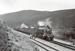 Jernbanestasjon på Kongsvoll.