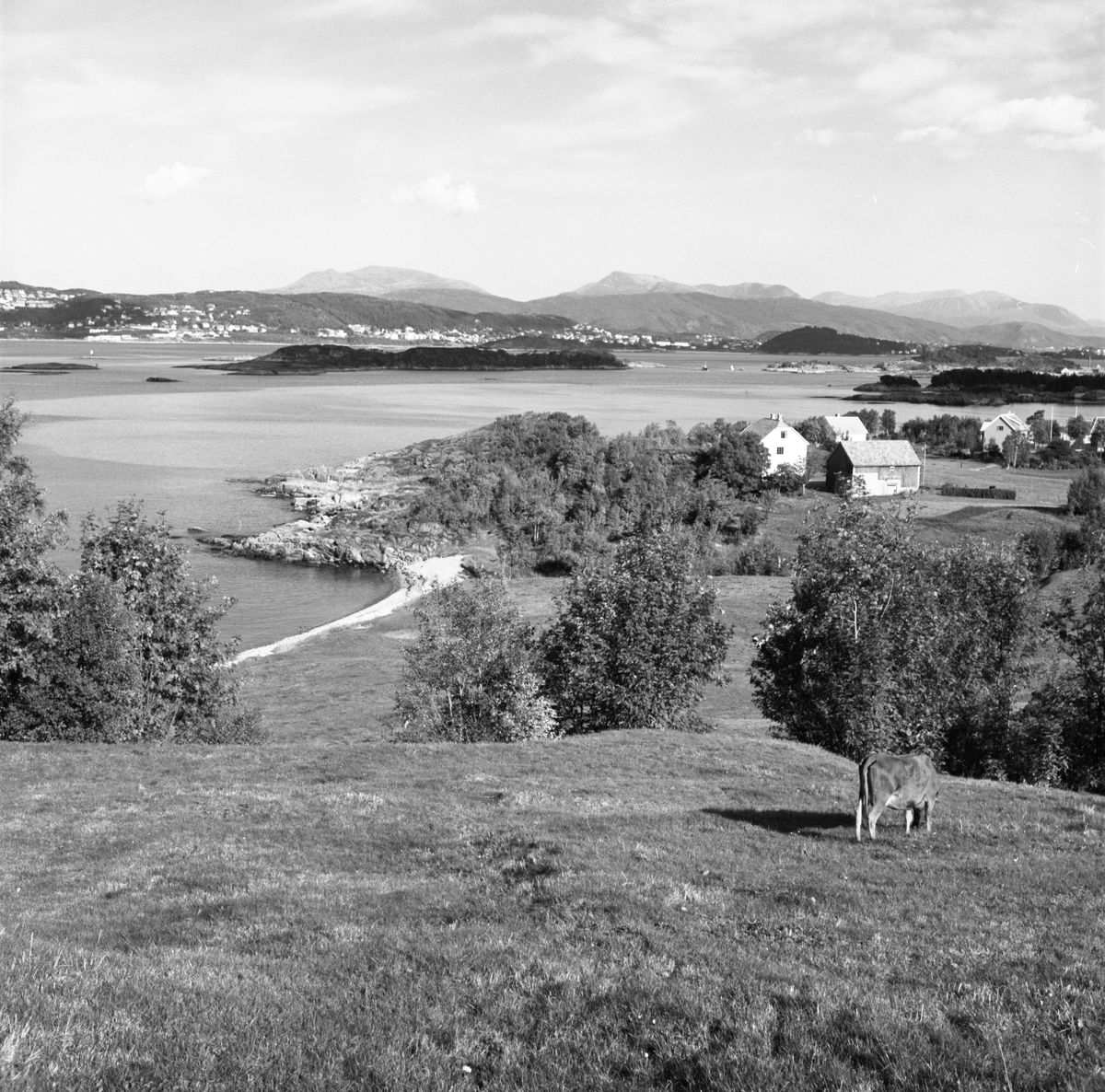 Gården på Molværsmyr, Sula, sett mot nord, med Sandviksanden til venstre i motivet.