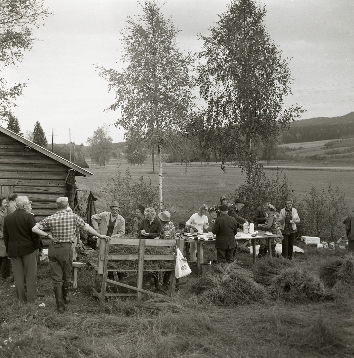 En grupp män och kvinnor samlas omkring ett bord för att fika efter att de rivit lin. Bakom bordet syns några björkar och en stuga, 1974.