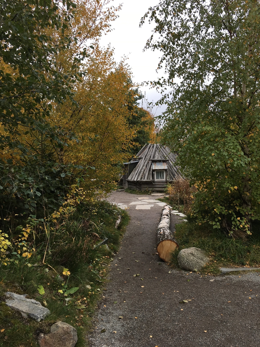 Saemien sijte på Skansen gestaltar en nutida sydsamisk miljö. Sitan består av fyra byggnader; torvkåtan, stolpboden, timmerkåtan samt njallan. Byggnaderna har uppförts på eller flyttats till Skansen under 1900-talet samt 2000-talets första årtionde. De två kåtorna samt stolpboden stammar från Jämtland, njallan från Norrbotten.