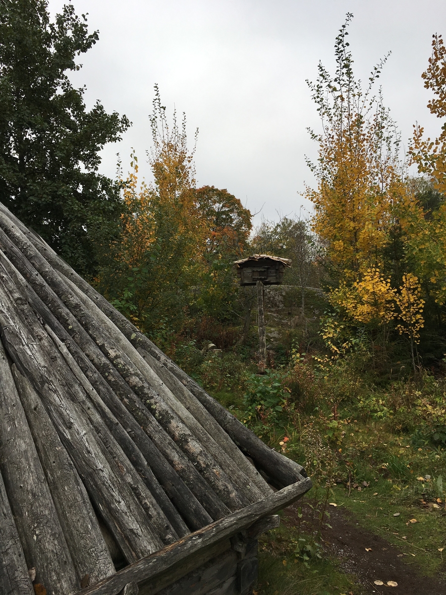 Saemien sijte på Skansen gestaltar en nutida sydsamisk miljö. Sitan består av fyra byggnader; torvkåtan, stolpboden, timmerkåtan samt njallan. Byggnaderna har uppförts på eller flyttats till Skansen under 1900-talet samt 2000-talets första årtionde. De två kåtorna samt stolpboden stammar från Jämtland, njallan från Norrbotten.