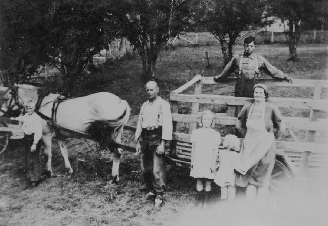 Leirfjord, Simsø. Fra slåttearbeid i Yttergården. F.v.: Andreas med hesten, Jakob, Olaug, Bjørg Elin, Olga Jakobsen. I høyvogna: Henry Larsen.