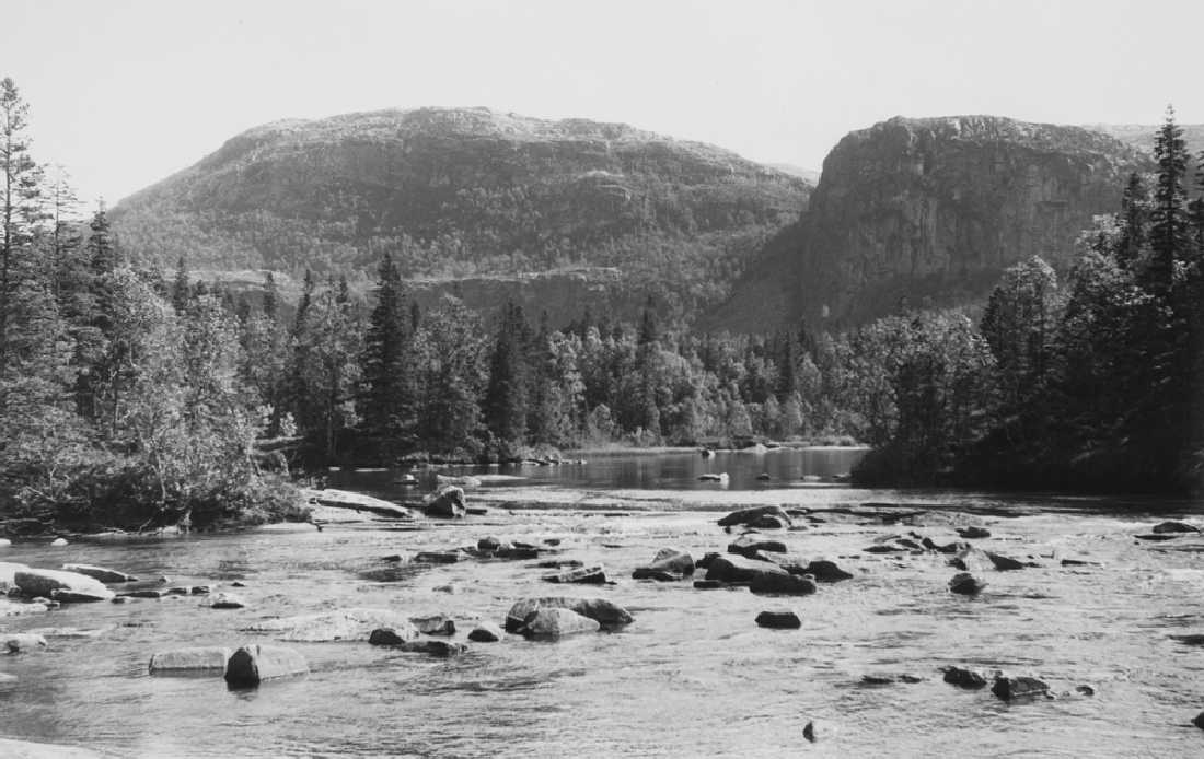 Leirfjord, Forslandsdalen. Landskap og vann.