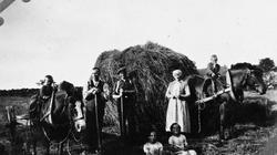 I høyonna hos Abraham Kalberg på Kalberg bnr. 6. På hesteryg