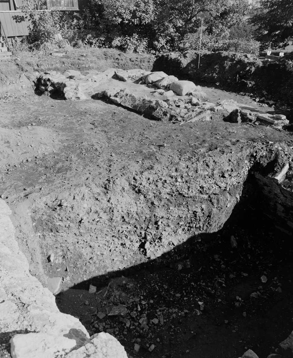 Arkeologiske undersøkelser i kjellerruin vest for drengestua 1986-1989. Snitt nord syd.