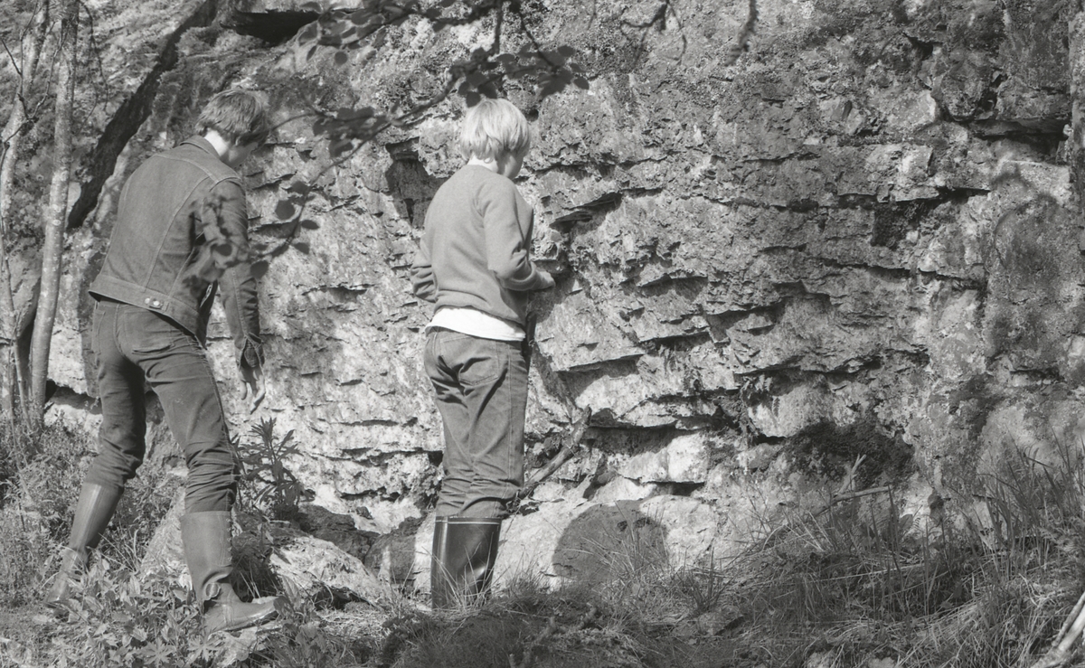 Bjønngolvet (T),
Skarlia, Flendalen (T):
Stikkelegging.