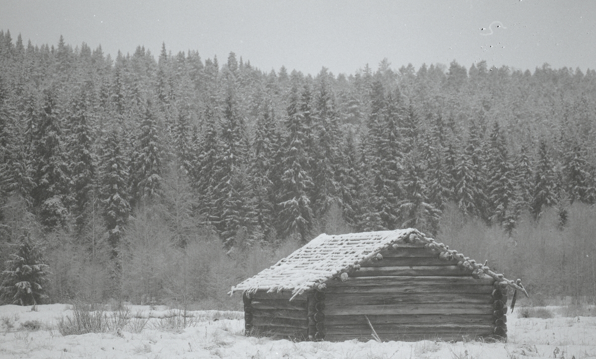 Koier Sør-Trysil. Verksted Koll Granli. 110/117