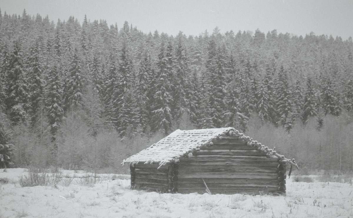 Koier Sør-Trysil. Verksted Koll Granli. 110/117