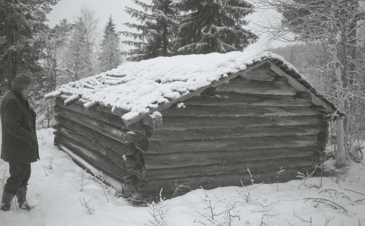 Koier Sør-Trysil. Verksted Koll Granli. 110/117
