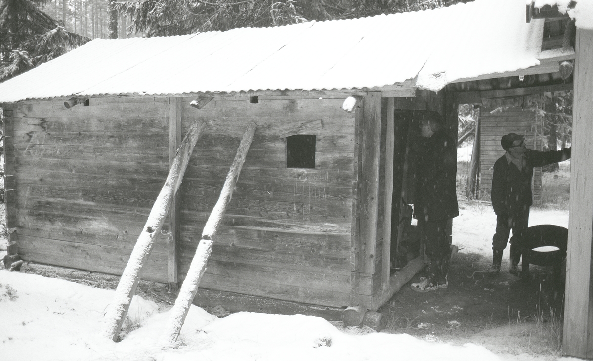 Koier Sør-Trysil. Verksted Koll Granli. 110/117