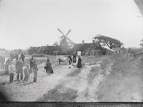 Väderkvarn. Jönssons kvarn (kv Kvarnvingen). Stugan till höger kallas "Far på Måsens stuga" och den till vänster tillhörde polisman Berntsson. I förgrunden står en samling människor i olika åldrar, en har en ko med sig.