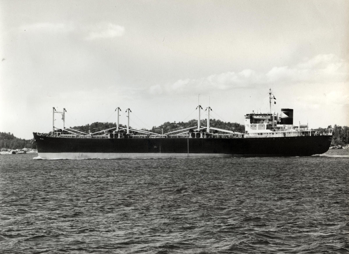 M/S «Besna» (b.1948/1950) i profil, etter ombyggingen i april 1969, på vei ut Sandefjordsfjorden. Foto: Norsk Maritimt Museum
