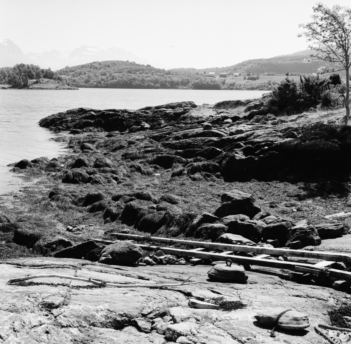 Området der det gamle handelsstedet Korsneset lå. Tuftene etter husa viser ennå. Handelsstedet er først omtalt i 1606.