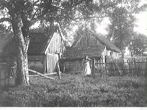 " Sev. Nilssons första hem m. Charlotta, S:s syster" står det antecknat på fotografiets baksida. Severin föddes på Forsa Kvarn, men detta är ingen kvarnmiljö. Det kan betyda att de besöker något av de andra ställen syskonen bodde på under barndomen, men sannolikt föreställer det trots allt Björsgård. Sedan Severin köpt gården lät han flytta dit torpet Sveaberg från Knobesholms ägor, där han bodde från 7-årsåldern och ca 10 år framåt. På Björsgård bodde sedan modern Neta Beata, systern Charlotta Nilson och hennes son Karl. Gården var kringbyggd med längor uppförda i skiftesverk. Bilden bör visa norra längan till vänster och västra längan till höger.