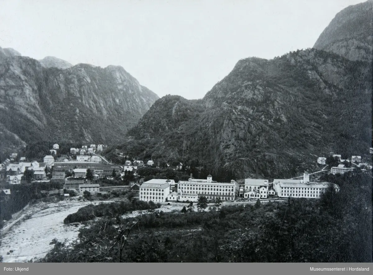 Tekstilfabrikk på Dalekvam i Vaksdal kommune, mellom Bergen og Voss. Grunnlagt av industripioner Peter Jebsen i 1979. Fabrikken var ein av dei store tekstilfabrikkane på Vestlandet, med 750 tilsette i 1945 - men etter dette har talet på tilsette har vore oppe i rundt 1100. Dale Fabrikker hadde hovudkontor i Bergen og tre fabrikkar i Vaksdal. Bomullsvarefabrikken på Dale kom først, i 1879, og i 1890 blei det bygd ein ullvarefabrikk og kamgarnsspinneri i 1912. Produksjonen har vore mangfaldig, frå sengetøy, gensarar og kofter, til strikkegarn og tekniske tekstilar. Dale Boligtekstiler vart ein del av Høie-Arne på 1980-talet, og 1990- og 2000-talet vart produksjonen etter kvart delt opp i mindre bedrifter.