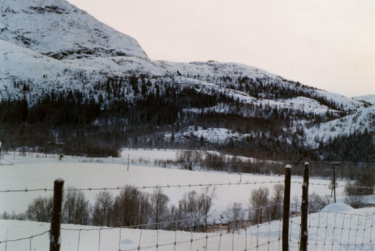 Leirfjord, Leira, Sommarsete. Nederste delen av Toven, ned mot Leirelva og Sommarsete. Her er område hvor steindeponiet til Toventunnellen skal ligge.