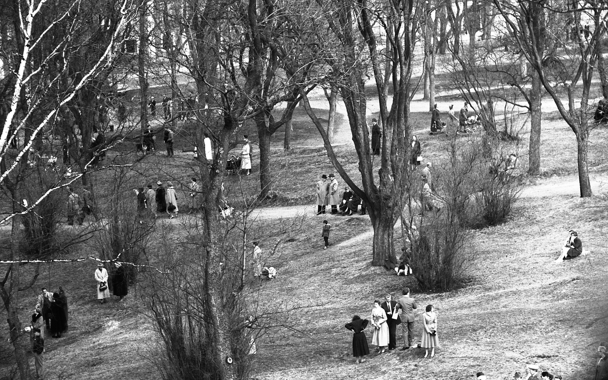 Studenternas vårrusning, åskådare i Slottsbacken, Uppsala 1962