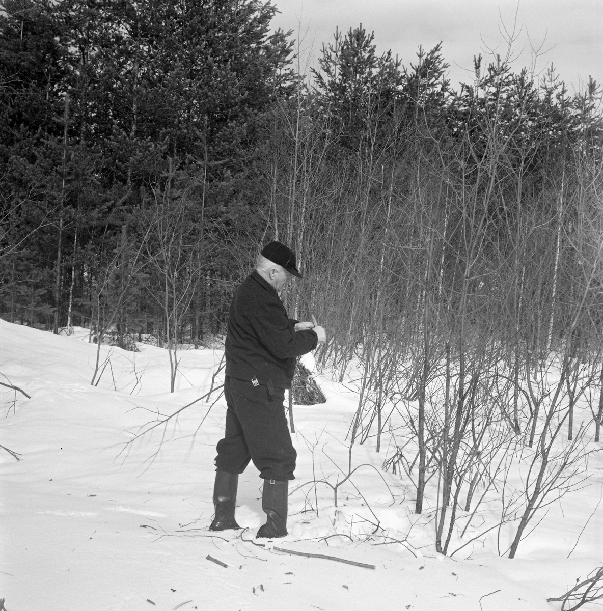 Leiv Ørbak fra Elverum spikker til en pinne som han skulle bruke under grindalsfluefisket på Glomma.  I dette spesielle isfisket nyttiggjorde man seg en spesiell steinflueart (Capnia sp.) som lokkemat.  På nyfestadiget lever «grindalsdflua» eller «sprela», som den også kalles, i vann.  Når sollyset blir kraftigere utover våren søker nymfene mot lyset i sprekker i isen, der de etter hvert kravler seg opp i dagen, hvor de utvikler vinger og blir til små fluer.  Det er som nymfer at dette insektet er interessant for fiskerne.  De hogger derfor hull på isen, som de fyller med et tynt snølag, for å hindre at fluene kommer seg helt opp.  Snøen med alle nymfene kan de etter hvert samle i et spann.  Under fisket slipper de nymfer ned i fiskehullet eller et ovenforliggende hull, der de tiltrekker seg sik og harr.  Fiskerne la seg deretter på magen, med et eller annet underlag på isen, og blikket vendt ned i vannmassene.  Der fisket de, vanligvis med et snøre med en krok med meitemark som agn, men i noen tilfeller også med en tynn messingtråd med ei renneløkke i enden.  Enten fisken ble tatt på krok eller snaret, så ble snøret eller messingsnora handtert ved hjelp av en cirka halvmeterlang pinne, som gjerne ble hentet fra lauvkrattet ved elvebredden, slik det ble gjort da dette fotografiet ble tatt.  Fotografiet ble tatt våren 1966.